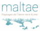 cropped logo maltae 1 768x597 1.png